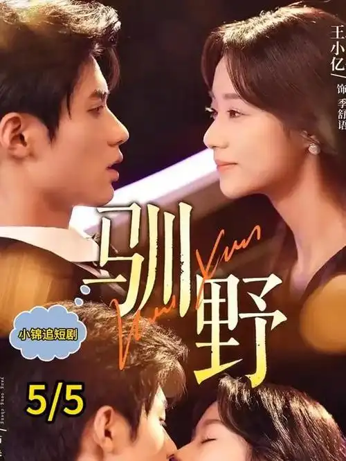 字幕定制型影视软件刻度卡封面，字幕时间轴微调面板